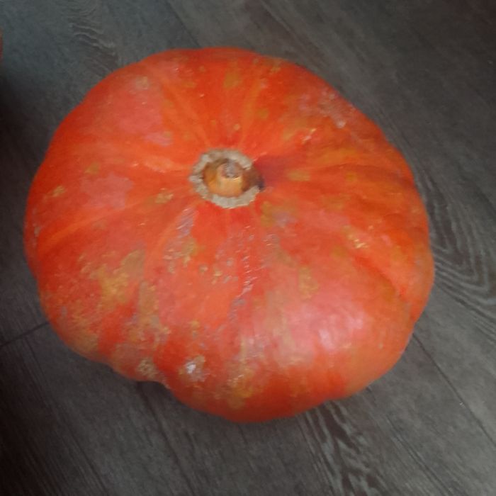 Продам тыкву домашняя