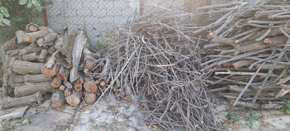 Дрова фруктовых деревьев , продам ,