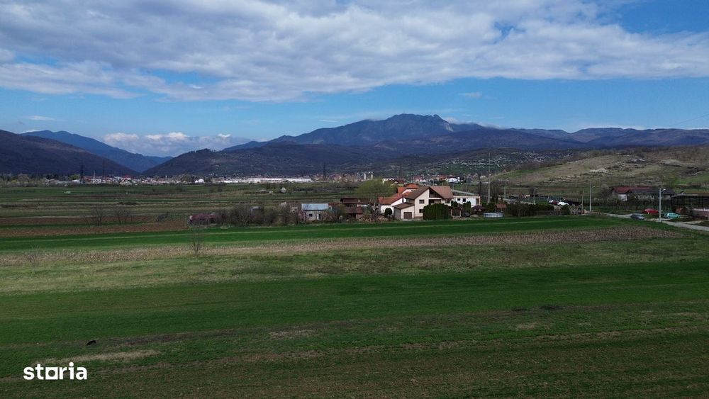 Teren / Jiblea Noua / Calimanesti /