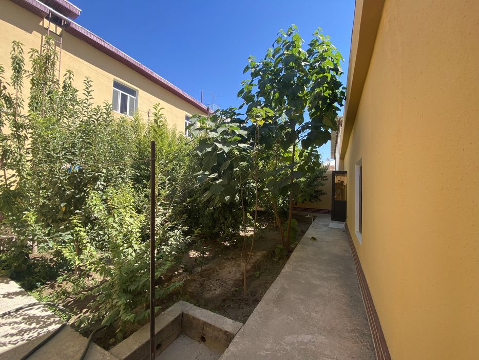 Гостиница, Мехмонхона, Hotel, Ижарага, Отель, Квартира,Urganch, Ургенч