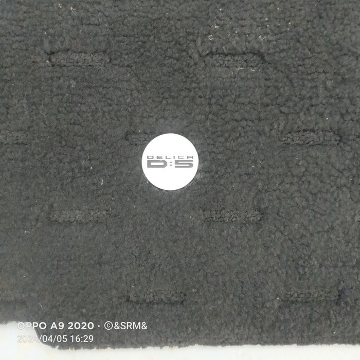 Полик на делика д5