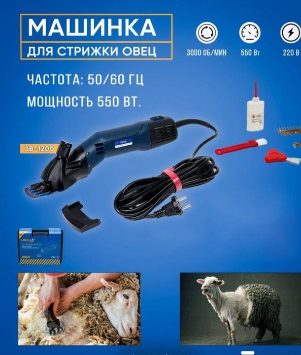 Qoʻyi-echkillar juni olamiz va veterinariya xizmat ichiga