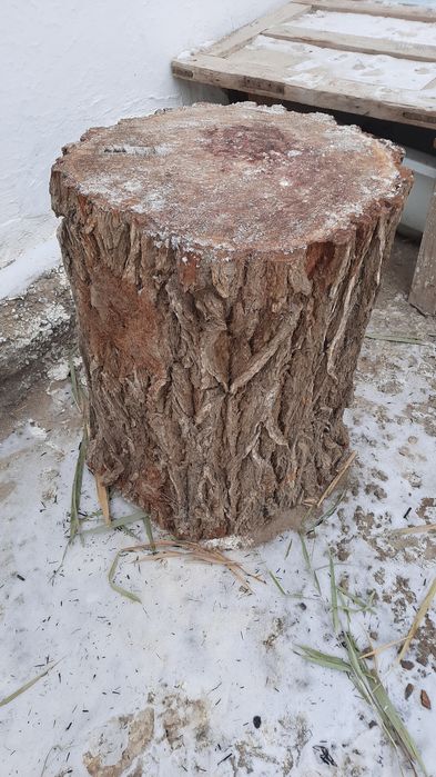 Марк Дорсельдің ең жақсы фильмдері