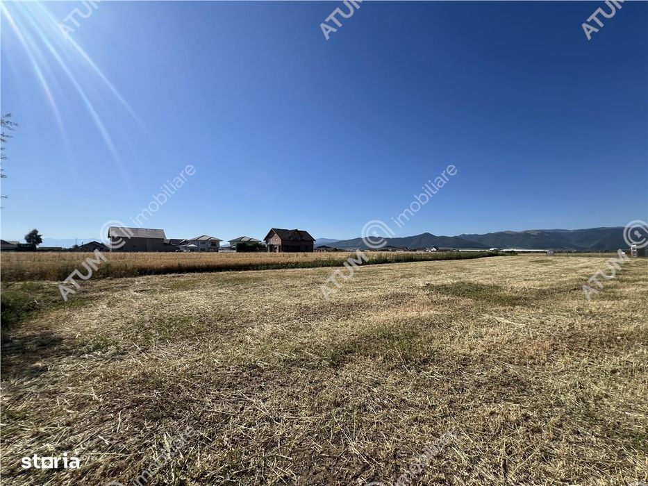 Teren extravilan de 10400 mp cu 2 deschideri in Cristian zona Serelor