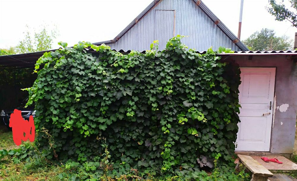 Дача на 2 дачной направо