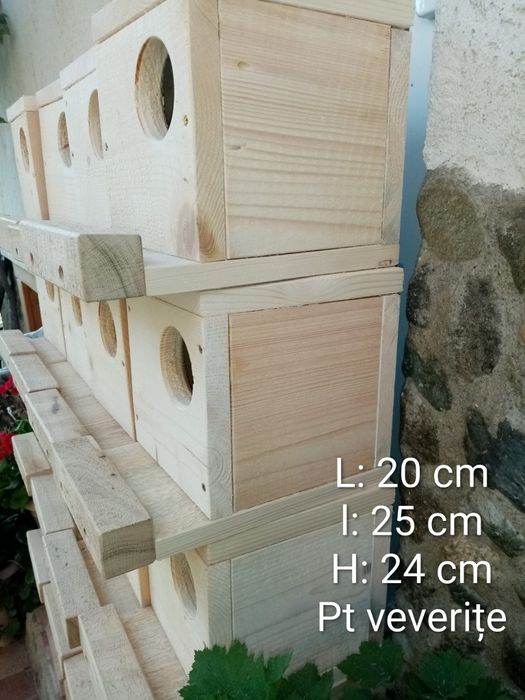 Cuiburi peruși, zebre , papagali, veverițe, hamsteri, diferite tipuri