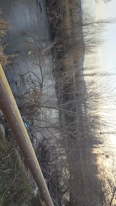 Сотувга чорва учун ферма