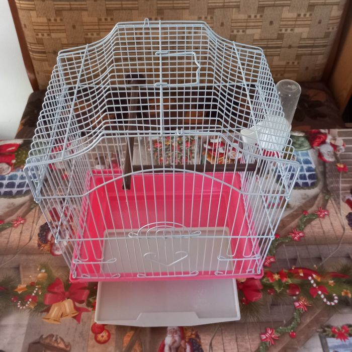 Vând colivie papagali