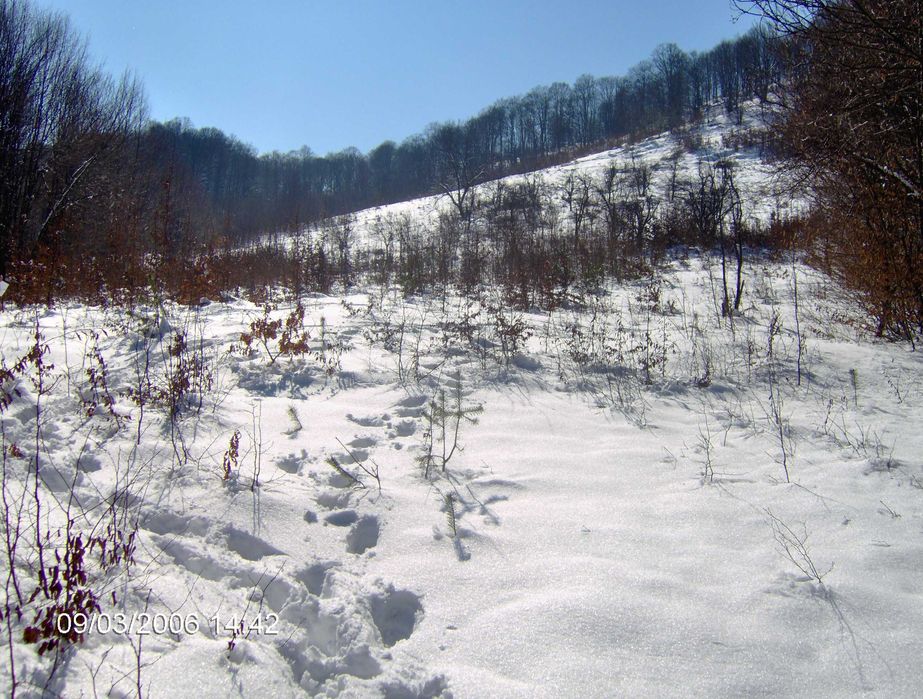 Продава се Парцел в Априлци - 19000 кв.м за 5 €/кв.м - Снимка #1