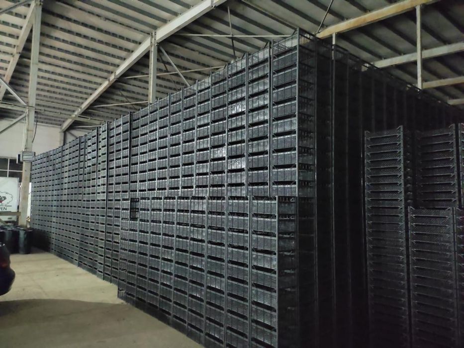 Ящики пластиковые