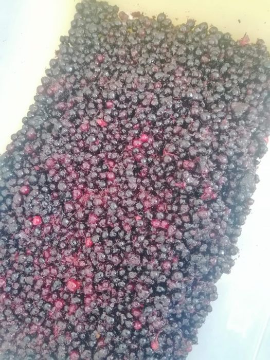 Замороженная смородина