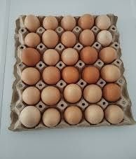 Ouă proaspete de la găini de țară!