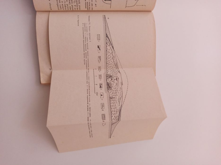 Загадка золотого кургана