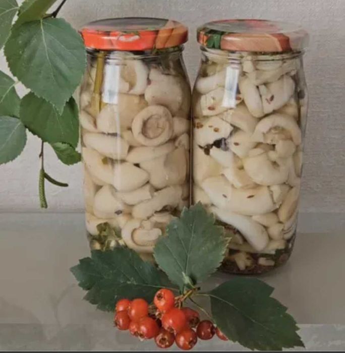 Грибы маринованные