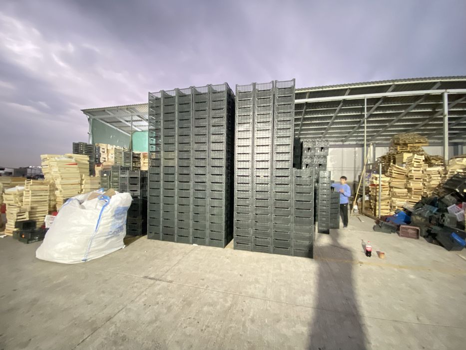 Ящики пластмассовые и деревянные новые и использованные!