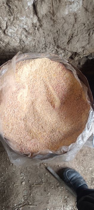 Драбилка elektrojodi