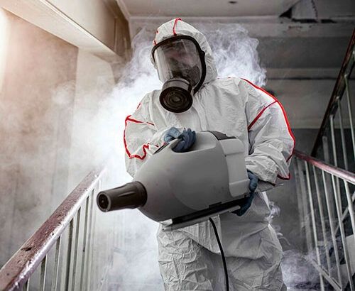 Дезинфекция. Дезинсекция. Дератизация.