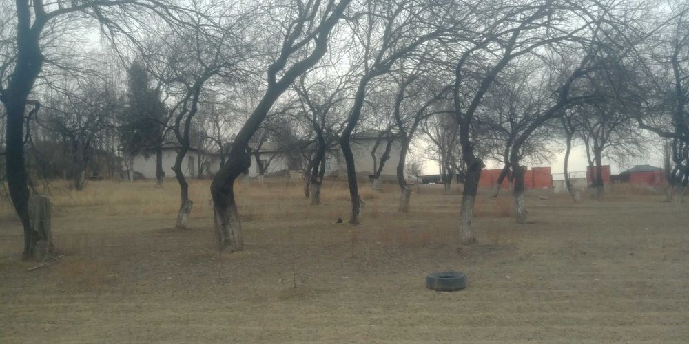 ховли ва бог сотилади