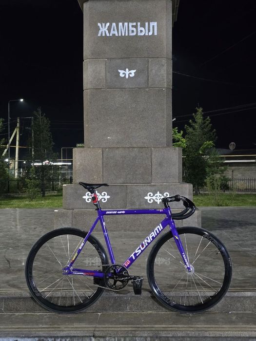 Tasunami snm100 фикс цунами