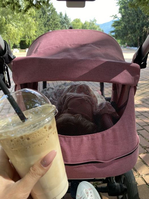 Количка CYBEX BALIOS S LUX magnolia pink