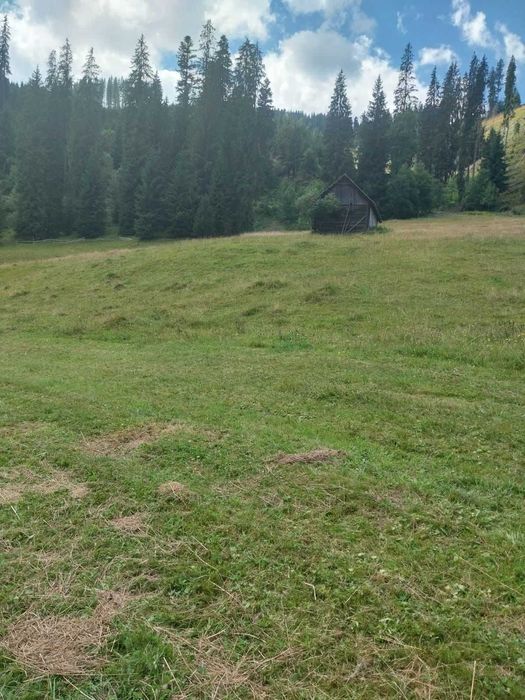 Teren 24134 mp Ciocanesti, Jud. Suceava
