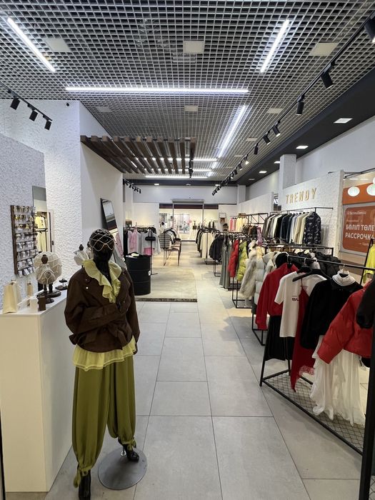 Действующий бизнес