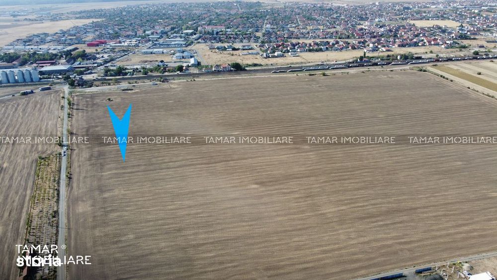 Teren Extravilan 10000 mp / CU UTILITĂȚI / Drum Acces / Vladimirescu