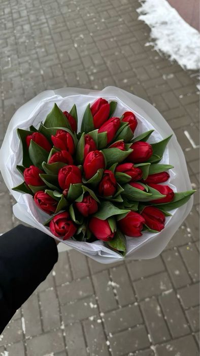 Тюльпаны , букеты не дорого