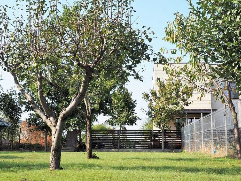 Teren 800 mp Pădurea Băneasa | PUD aprobat | Ideal casă sau duplex