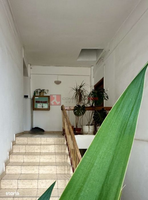 Suprafata generoasă Zona sp. Județean