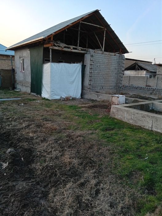 12 yarmiyam kelwib qosek sotladi