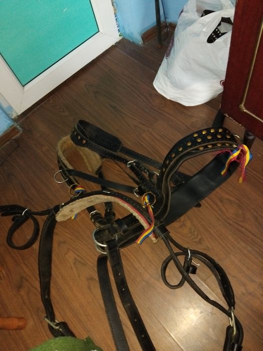 Vând ham și sidelca