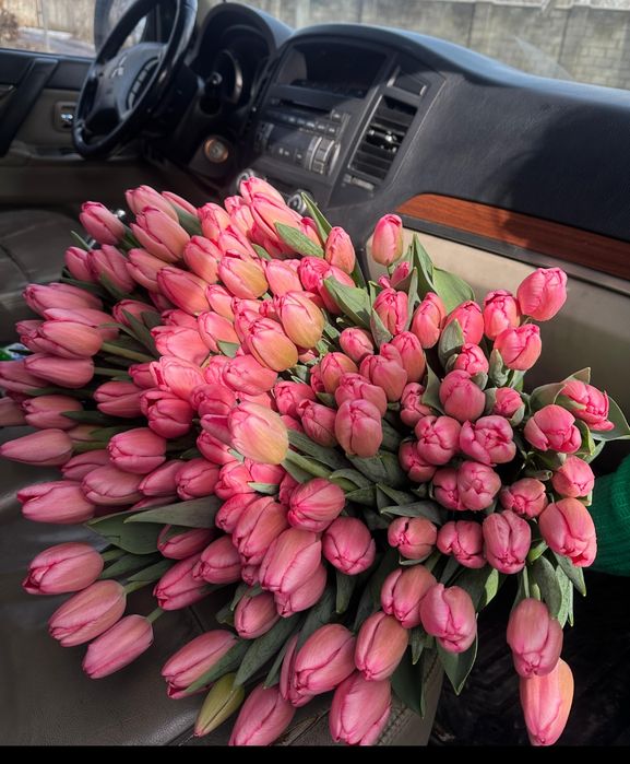 Тюльпаны по оптовой цене в розницу.