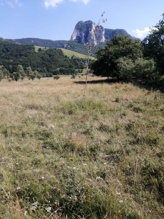 Vand teren in Rimetea