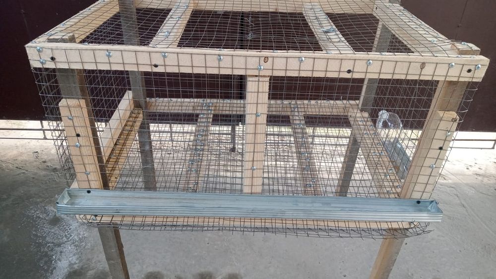 Бодене ге . Коянга арналган клетка