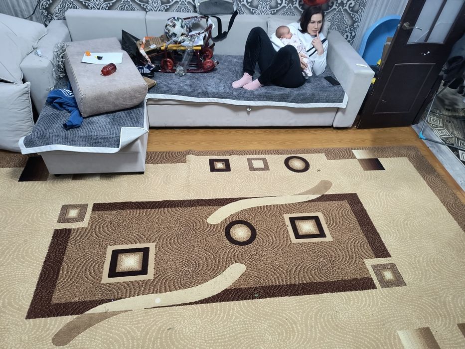 Продам палас 2х4