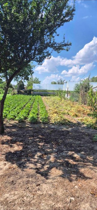 Casă bătrânească