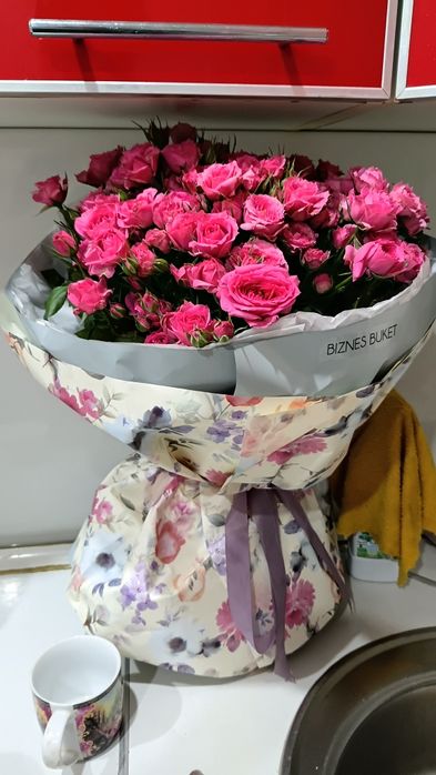 Розы цветы кустарные