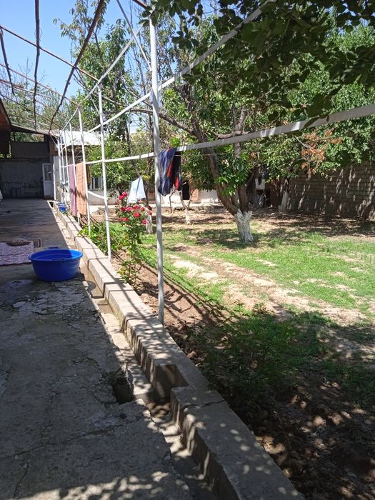 Уй куктереда жойлашган