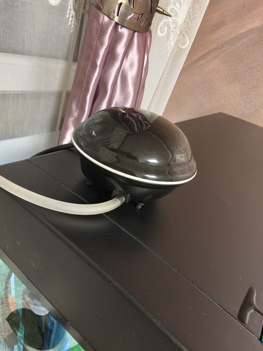 Acvariu cu pesti CLASICA