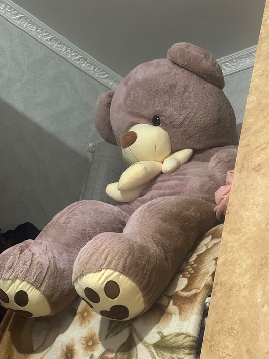 Мишка сатылады новый