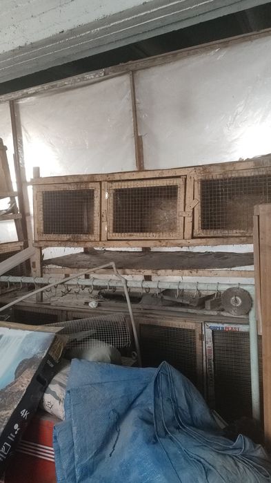 Продам клетки для кроликов