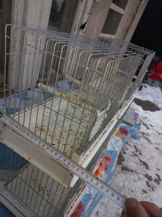 Colivii de cântec se vinde la set