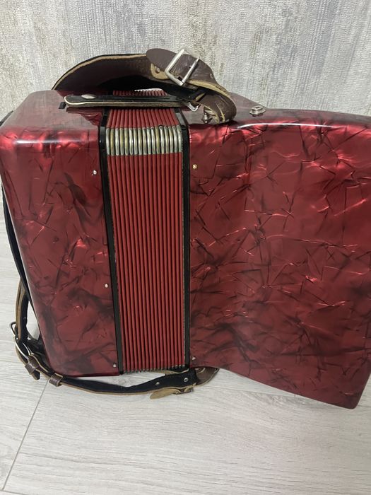 Acordeon pt copii