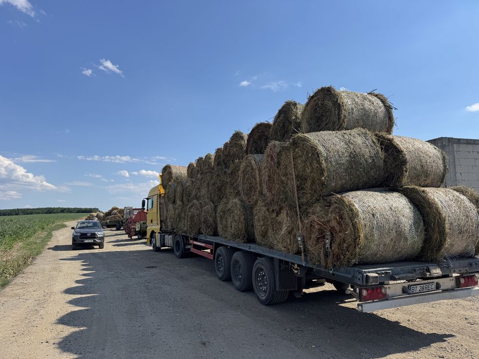 baloti lucerna 100/150/250 ron