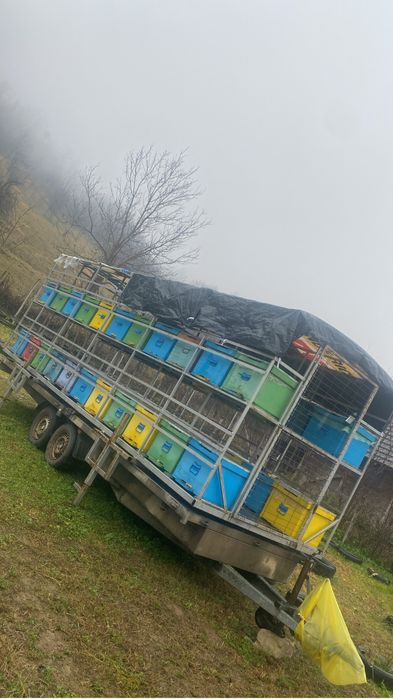 Vând /schimb modul apicol .capacitate de 44 cuti.