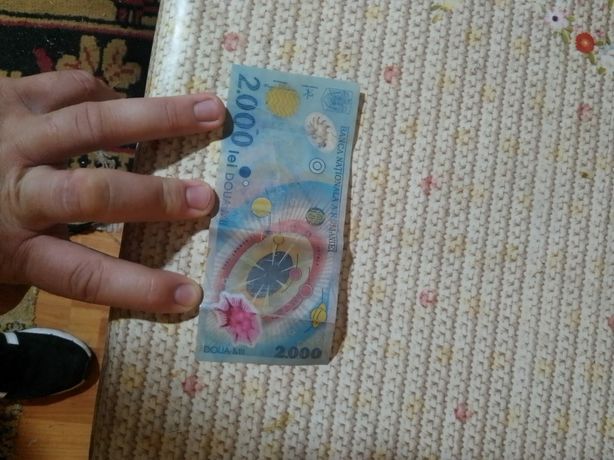 Articole Sport Timp Liber Arta De Vanzare In Vaslui Olx Ro