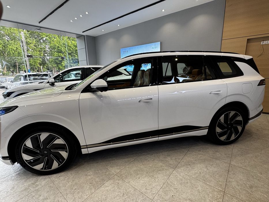 Dongfeng 008 gibrid 2025 5 kishilik
