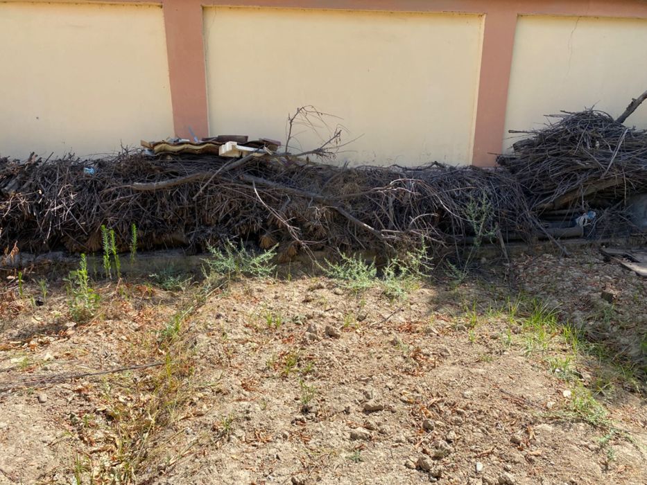 O’tin qalinlari kop