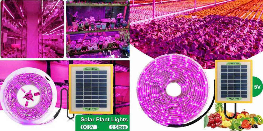 Iluminare UV solar cu panou solar pt cresterea plantelor Noaptea!